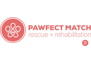 Pawfect Match and Azura Skin Care Center